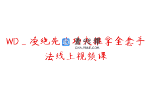WD_凌绝先生功夫推拿全套手法线上视频课