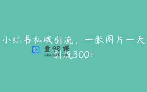 小红书私域引流，一张图片一天引流300+