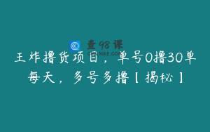 王炸撸货项目，单号0撸30单每天，多号多撸【揭秘】