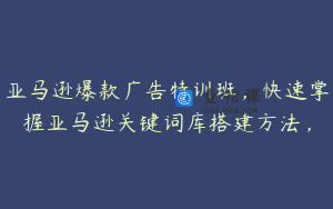 亚马逊爆款广告特训班，快速掌握亚马逊关键词库搭建方法，
