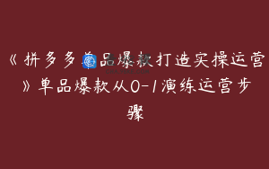 《拼多多单品爆款打造实操运营》单品爆款从0-1演练运营步骤