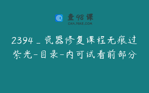 2394_瓷器修复课程无痕过紫光-目录-内可试看前部分