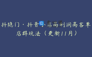 抖隐门·抖音小店高利润高客单店群玩法（更新11月）
