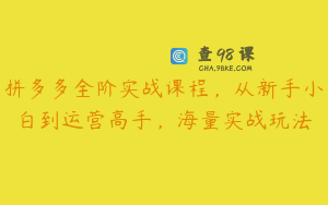 拼多多全阶实战课程，从新手小白到运营高手，海量实战玩法