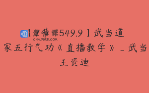 【7节-￥549.9】武当道家五行气功《直播教学》_武当王资迪