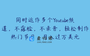 同时运作多个Youtube频道,不露脸,不录音,轻松制作热门节目,月入过万美元