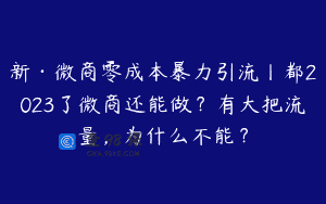 新·微商零成本暴力引流丨都2023了微商还能做？有大把流量，为什么不能？