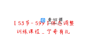 【53节-￥599】体态调整训练课程_宁哥有礼