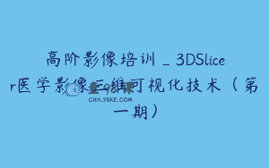 高阶影像培训_3DSlicer医学影像三维可视化技术（第一期）