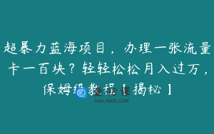 超暴力蓝海项目，办理一张流量卡一百块？轻轻松松月入过万，保姆级教程【揭秘】