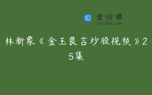 林新象《金玉良言炒股视频》25集