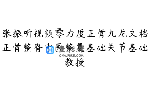 张振听视频零力度正骨九龙文档正骨整脊中医整复基础关节基础教授
