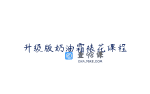 升级版奶油霜裱花课程