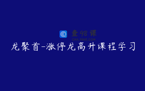 龙聚首-涨停龙高升课程学习