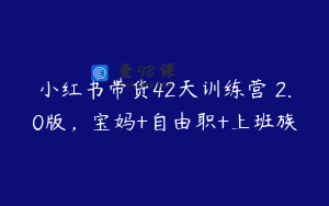 小红书带货42天训练营 2.0版，宝妈+自由职+上班族