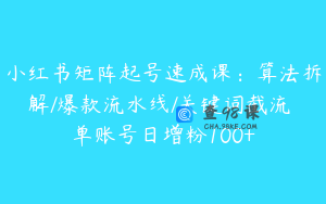 小红书矩阵起号速成课：算法拆解/爆款流水线/关键词截流 单账号日增粉100+