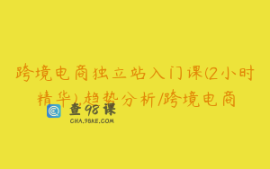 跨境电商独立站入门课(2小时精华),趋势分析/跨境电商