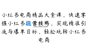 小红书电商精品大全课，快速掌握小红书运营技巧，实现精准引流与爆单目标，轻松玩转小红书电商