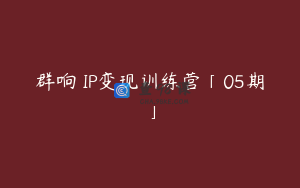 群响 IP变现训练营「05期」