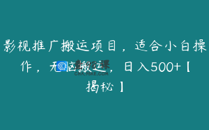 影视推广搬运项目,适合小白操作,无脑搬运,日入500+【揭秘】