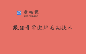 跟猫哥学微距后期技术