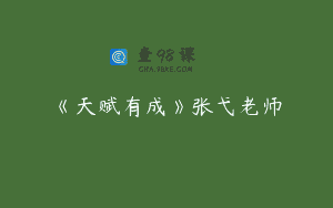 《天赋有成》张弋老师