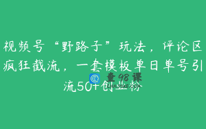 视频号“野路子”玩法，评论区疯狂截流，一套模板单日单号引流50+创业粉