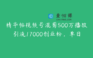 精华帖视频号混剪500万播放引流17000创业粉，单日