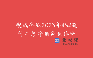 瘦成冬瓜2023年iPad流行半厚涂角色创作班
