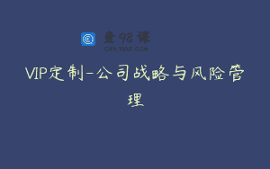 VIP定制-公司战略与风险管理