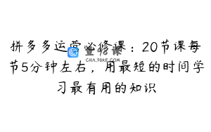 拼多多运营必修课：20节课每节5分钟左右，用最短的时间学习最有用的知识