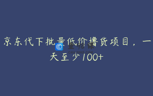 京东代下批量低价撸货项目，一天至少100+