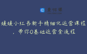媛媛小红书新手精细化运营课程，带你0基础运营全流程
