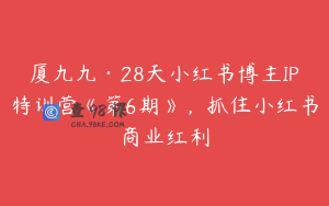 厦九九·28天小红书博主IP特训营《第6期》，抓住小红书商业红利