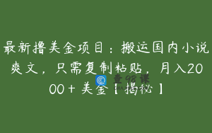 最新撸美金项目：搬运国内小说爽文，只需复制粘贴，月入2000＋美金【揭秘】