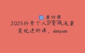 2025抖音个人IP全域流量变现进阶课，deepsee