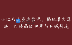 小红书流量运营课，揭秘爆文算法，打造高效种草与私域引流