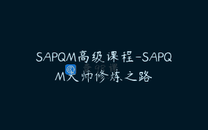 SAPQM高级课程-SAPQM大师修炼之路