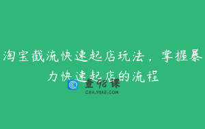 淘宝截流快速起店玩法，掌握暴力快速起店的流程