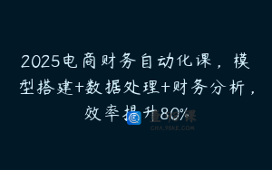 2025电商财务自动化课,模型搭建+数据处理+财务分析,效率提升80%
