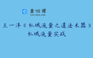 王一洋《私域流量之道法术器》私域流量实战