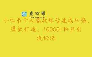 小红书个人爆款账号速成秘籍，爆款打造、10000+粉丝引流秘诀