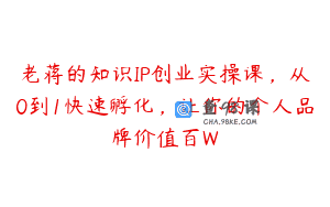 老蒋的知识IP创业实操课，从0到1快速孵化，让你的个人品牌价值百W