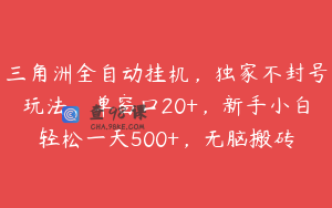 三角洲全自动挂机，独家不封号玩法，单窗口20+，新手小白轻松一天500+，无脑搬砖