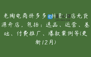 老陶电商拼多多+抖音小店无货源开店，包括：选品、运营、基础、付费推广、爆款案例等(更新12月)