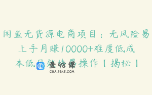 闲鱼无货源电商项目：无风险易上手月赚10000+难度低成本低见效快易操作【揭秘】