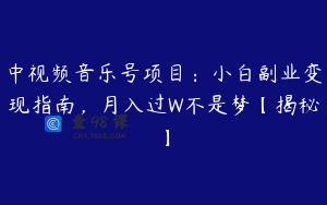 中视频音乐号项目:小白副业变现指南,月入过W不是梦【揭秘】