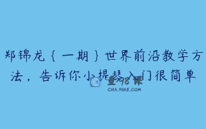 郑锦龙｛一期｝世界前沿教学方法，告诉你小提琴入门很简单