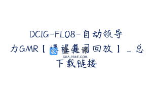 DCIG-FL08-自动领导力GMR【课程复习回放】_总下载链接
