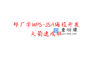 郑广学WPS-JSA编程开发火箭速成班